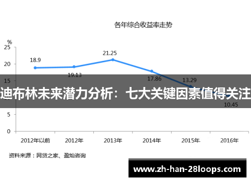 迪布林未来潜力分析：七大关键因素值得关注