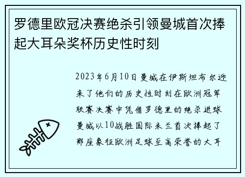 罗德里欧冠决赛绝杀引领曼城首次捧起大耳朵奖杯历史性时刻